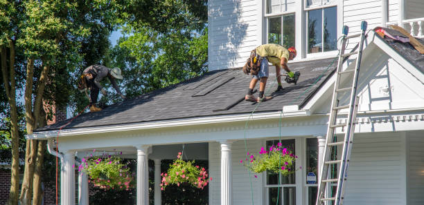 Best Roof Gutter Cleaning  in Rome, NY